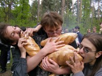 ���� 2008